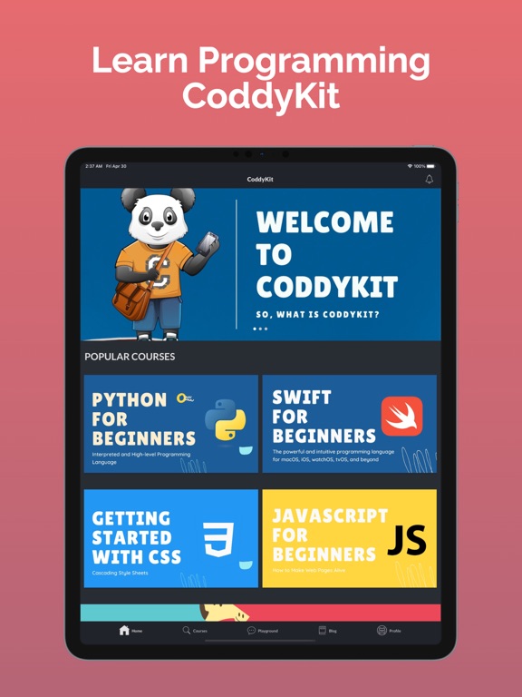 Screenshot #4 pour CoddyKit: Learn Coding with AI