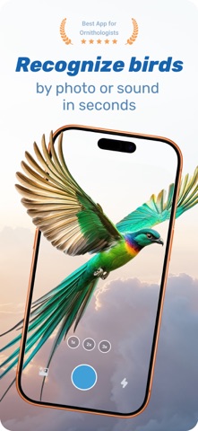 Bird identifier by Picture, ID screenshot