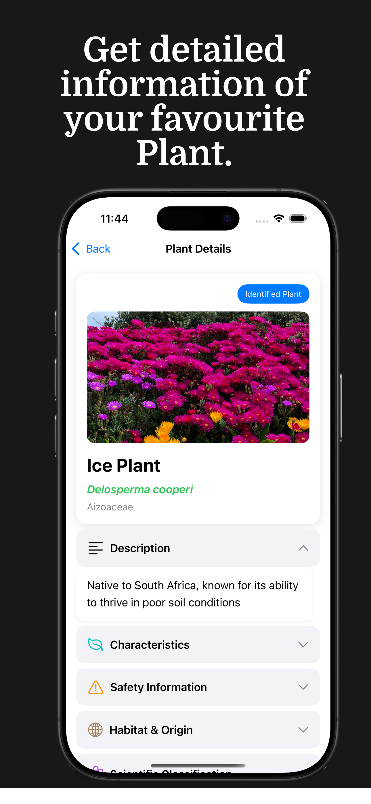 Plantella - Plant Identifier screenshot 3