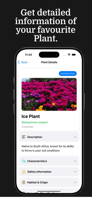 Plantella - Plant Identifier screenshot 3