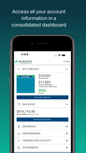 Newport Group screenshot 1