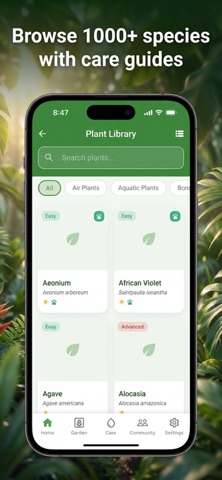 Bloom Meld - Plant Identifier Screenshot 4 of 8