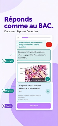 DuoBac – Bac Sciences Tunisie Screenshot 3 of 7