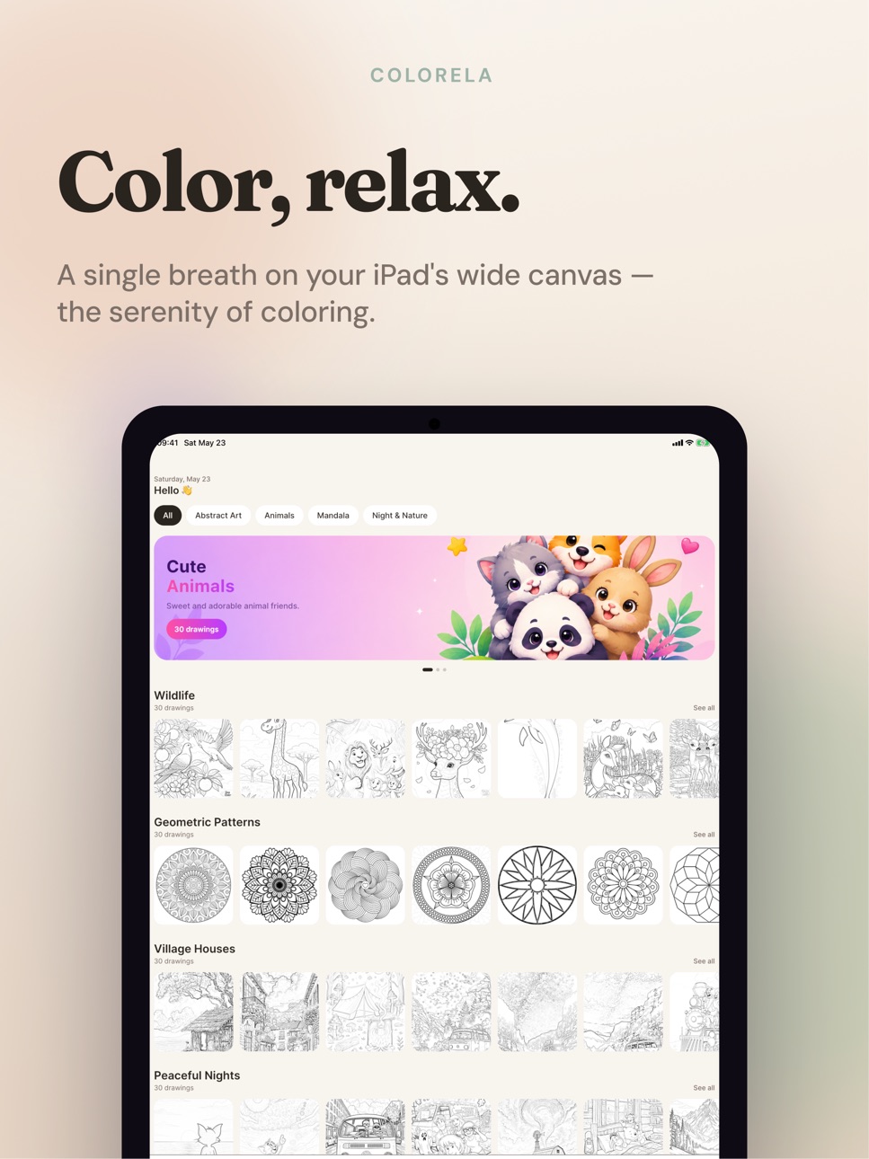 iPad screenshot