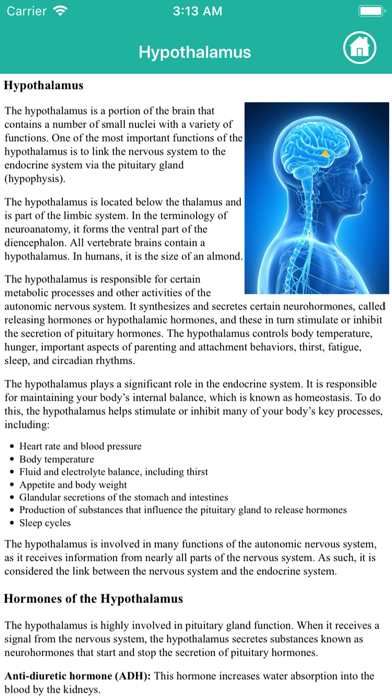 Anatomy : Endocrine System Screenshot