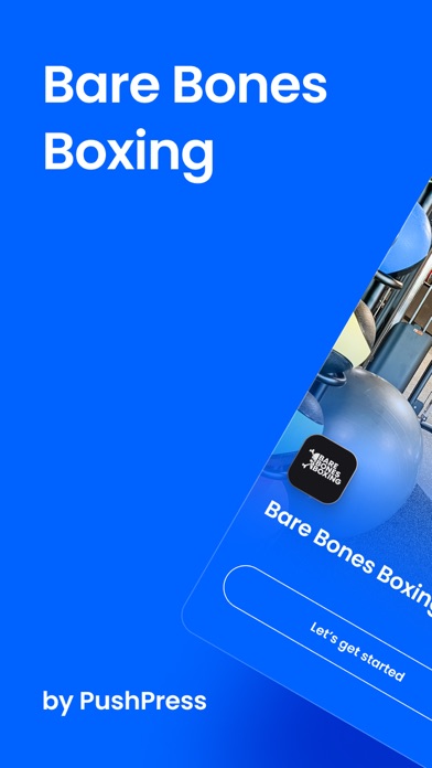 Bare Bones Boxing Screenshot