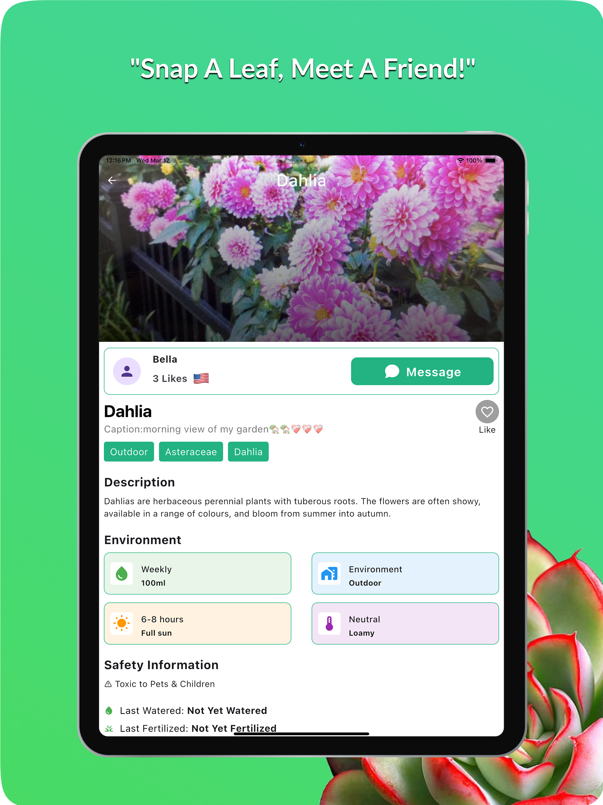 AnyPlant: AI Plant ID & Chat