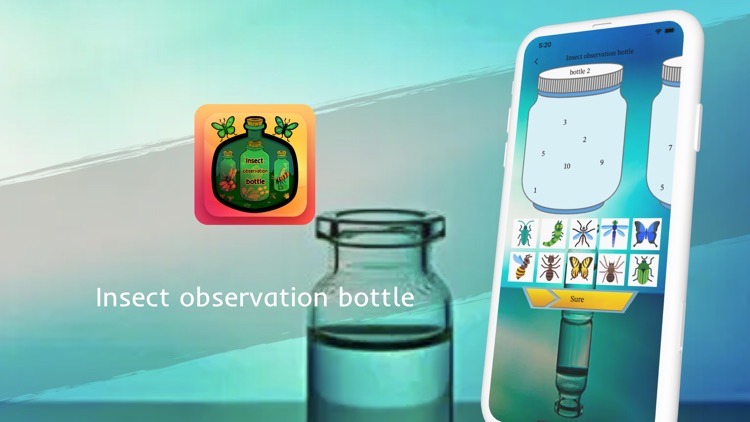 Insect observation bottle