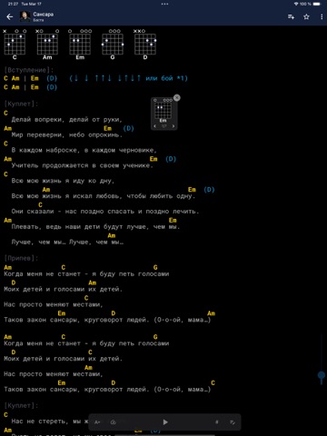 Аккорды AmDm iPad screenshot 8