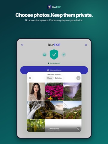 BlurEXIF: Face Blur & Privacy