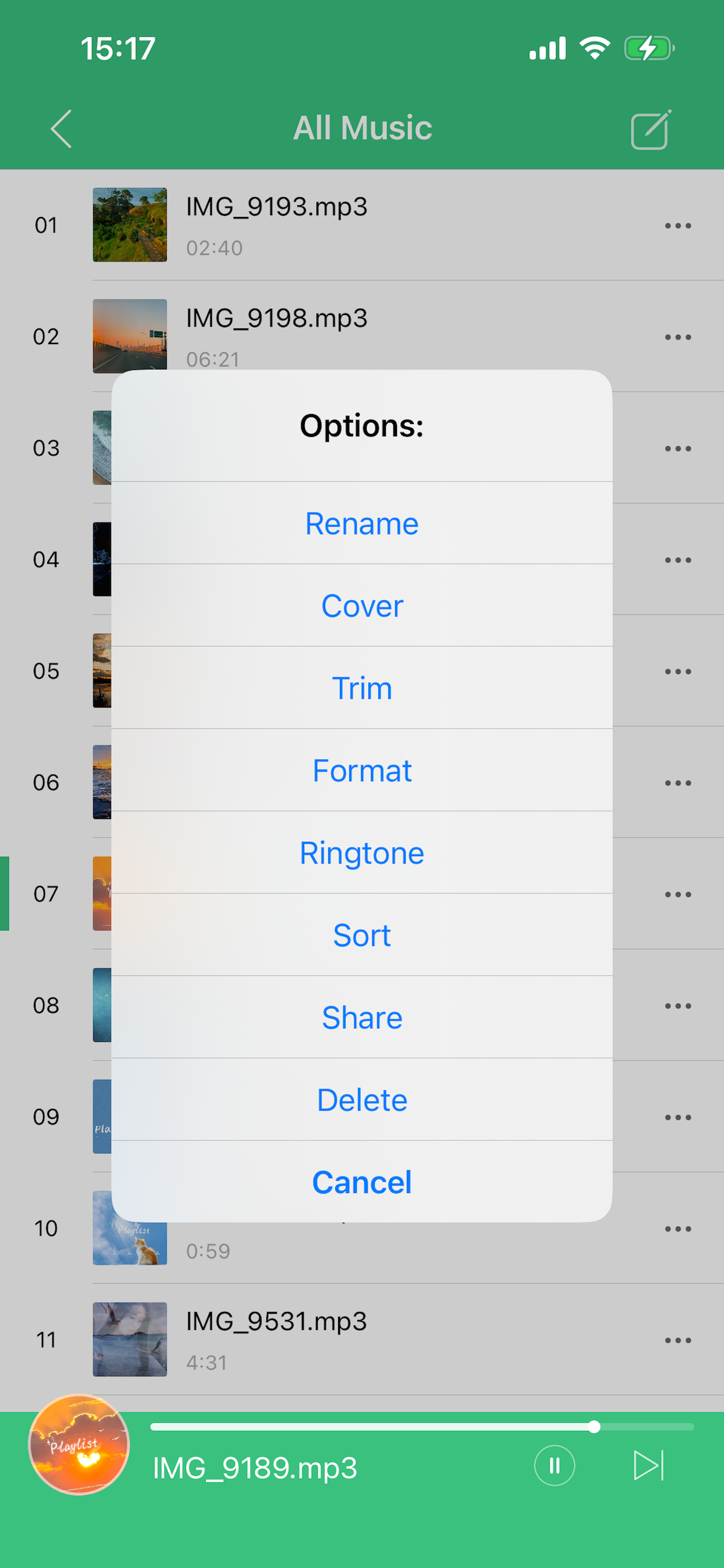 VideoToMP3 Offline Player