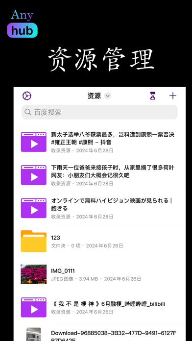 AnyHub-视频收录&嗅探&格式转换&先锋迅捷云雷 preview