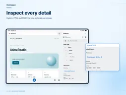 DevInspect Browser screenshot 9