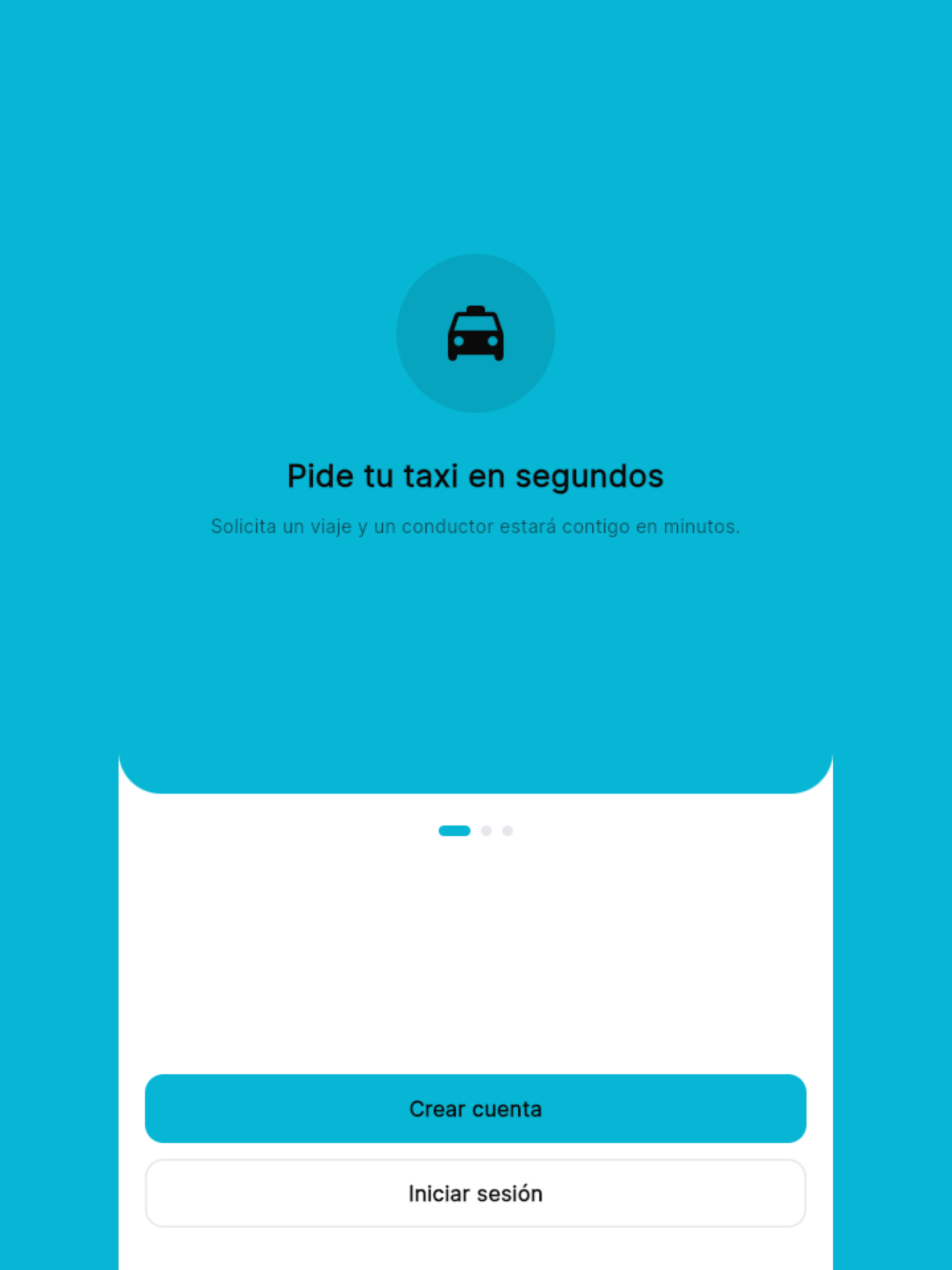 NetCar screenshot 4