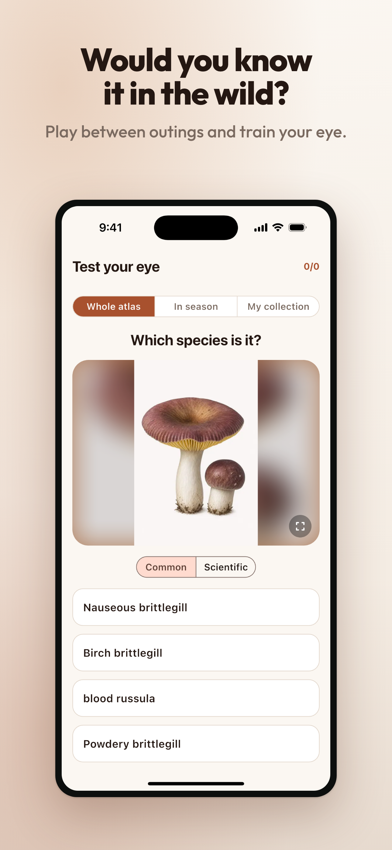 MicoAtlas - Mushroom Guide screenshot 7