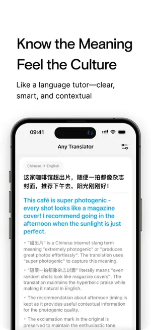 Any Translator with AI screenshot 4
