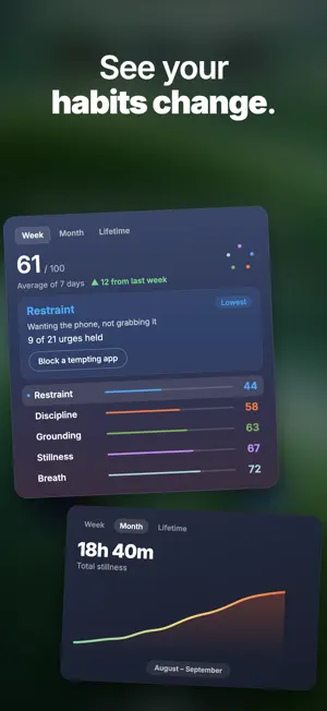 Sanctum: Screen Time Control screenshot 3
