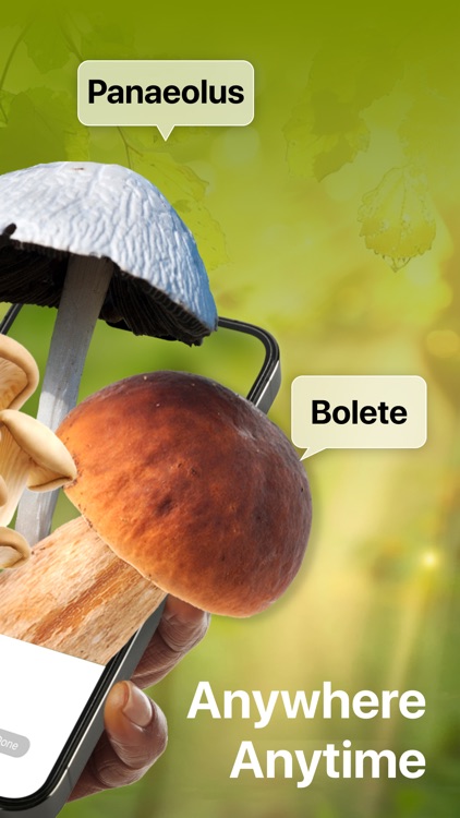 Picture Mushroom: Identifier