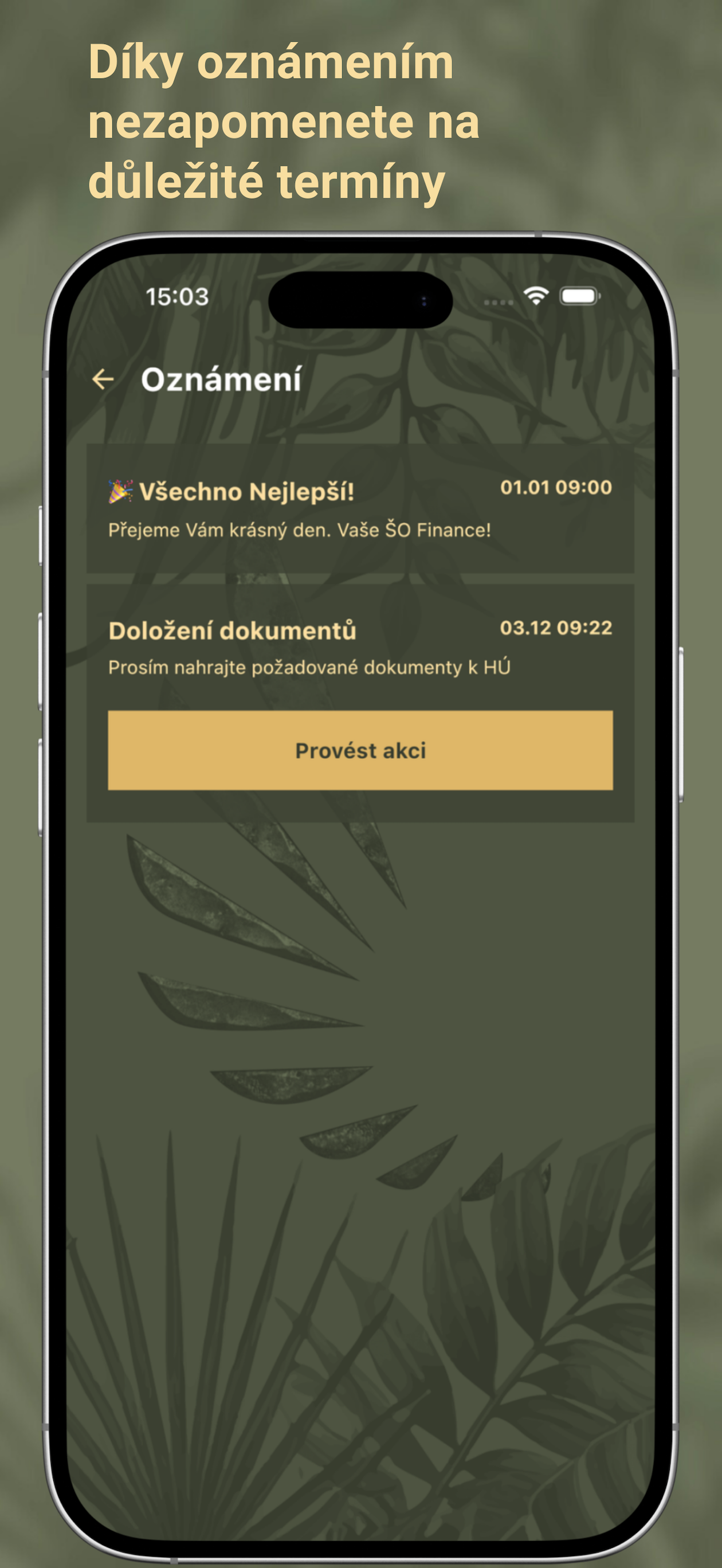 ŠO Finance
