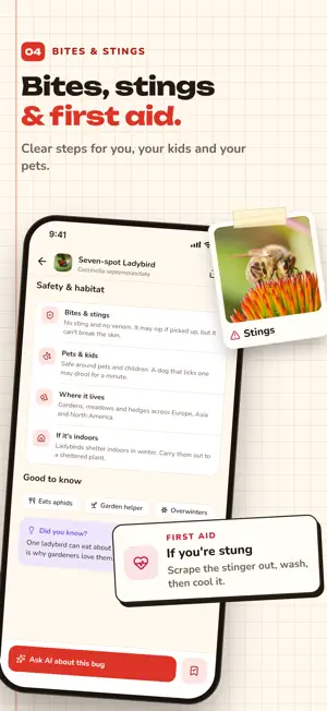 Bug Ai: Insect, Spider, Wasp screenshot 4