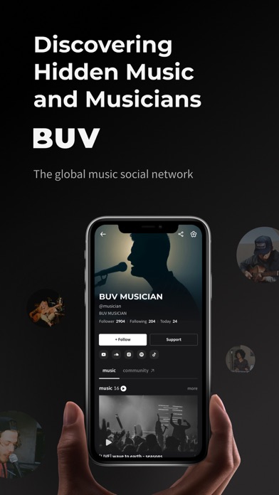 BUV - Hidden Music & Musicians Screenshot