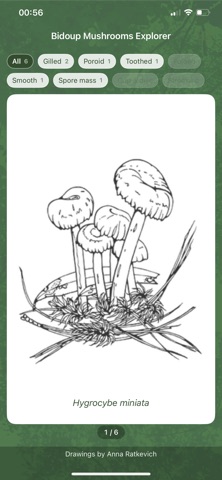 Bidoup Mushrooms Explorer Lite Screenshot 1 of 10