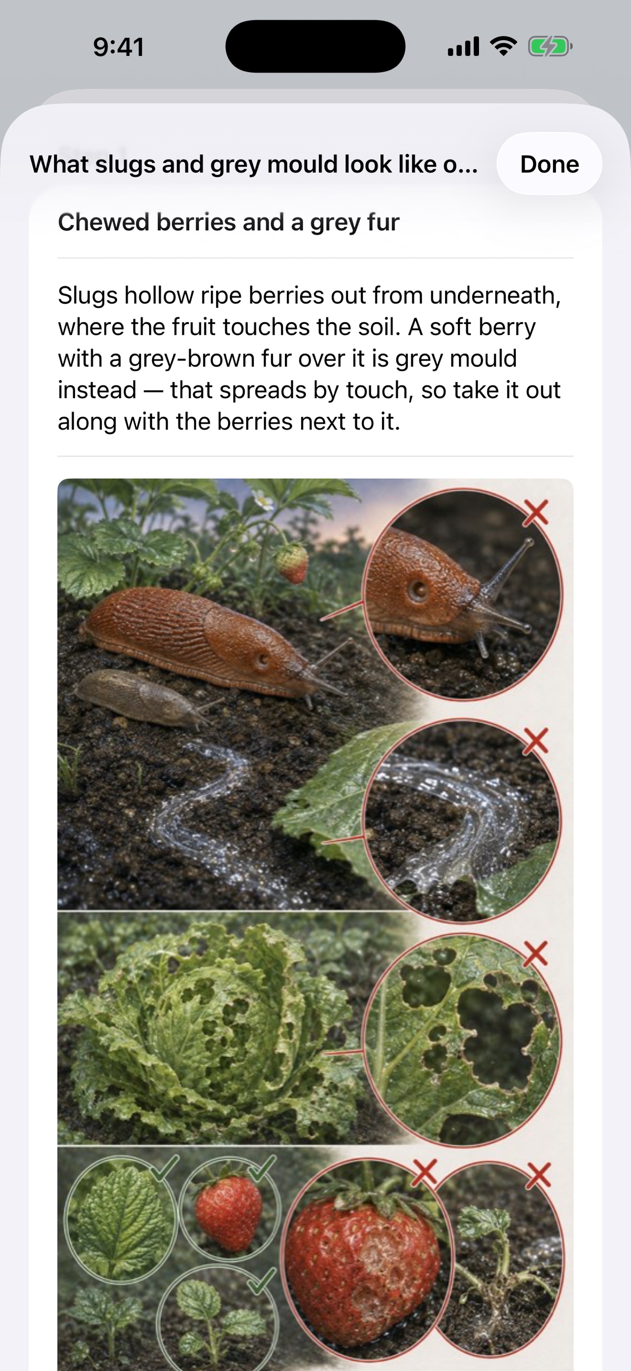 Screenshot 5 of Garden Hour