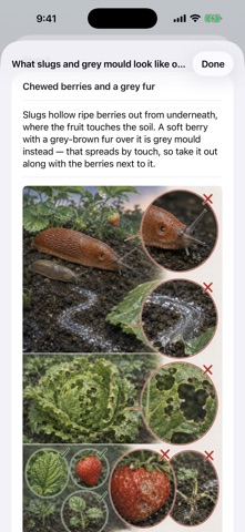 Garden Hour screenshot 5