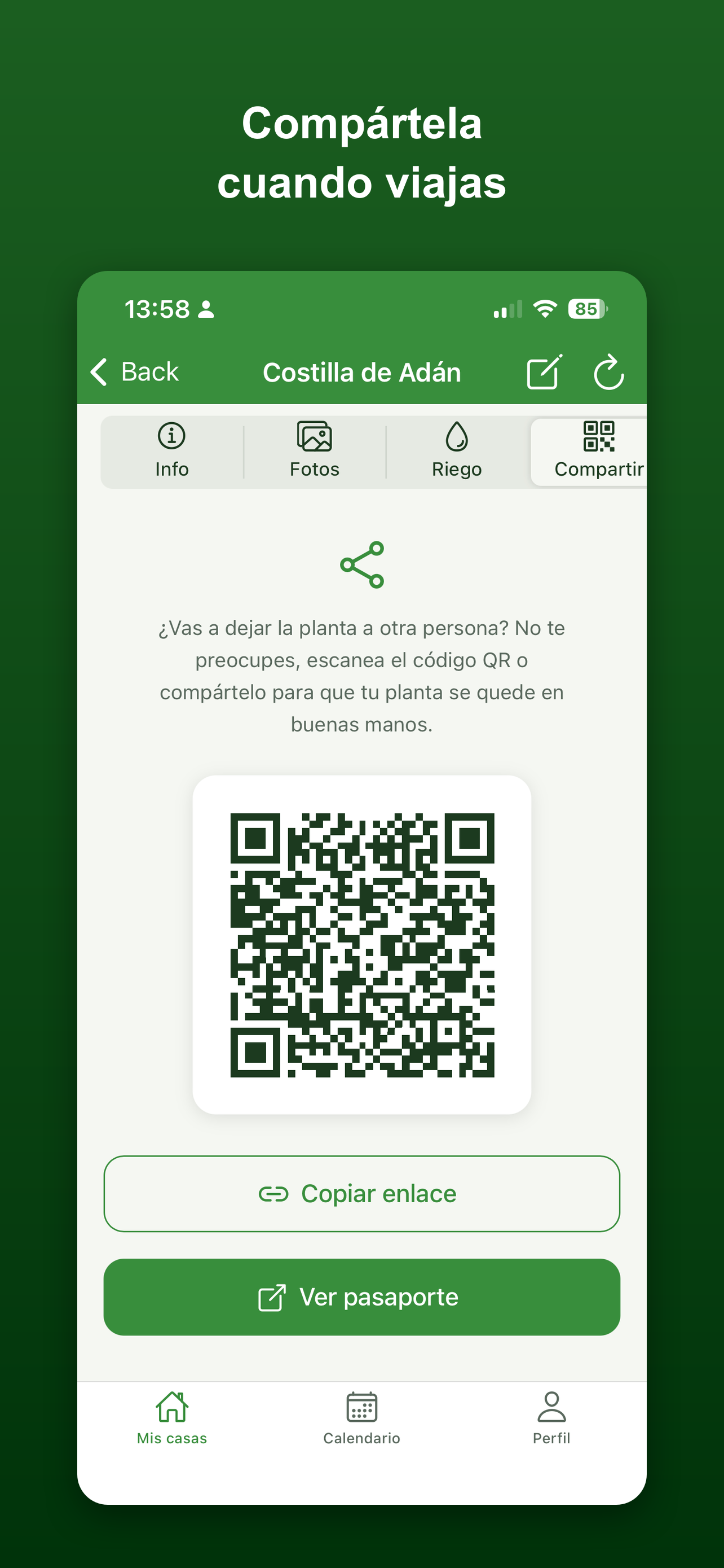 FrondAI: Cuidar Plantas IA screenshot 5