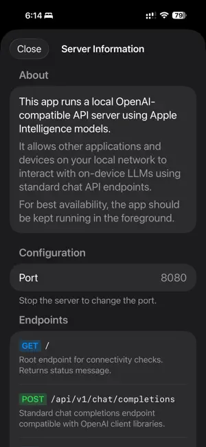 Local LLM Server Pro screenshot 4