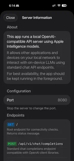 Screenshot von Local LLM Server Pro auf dem iPhone 4