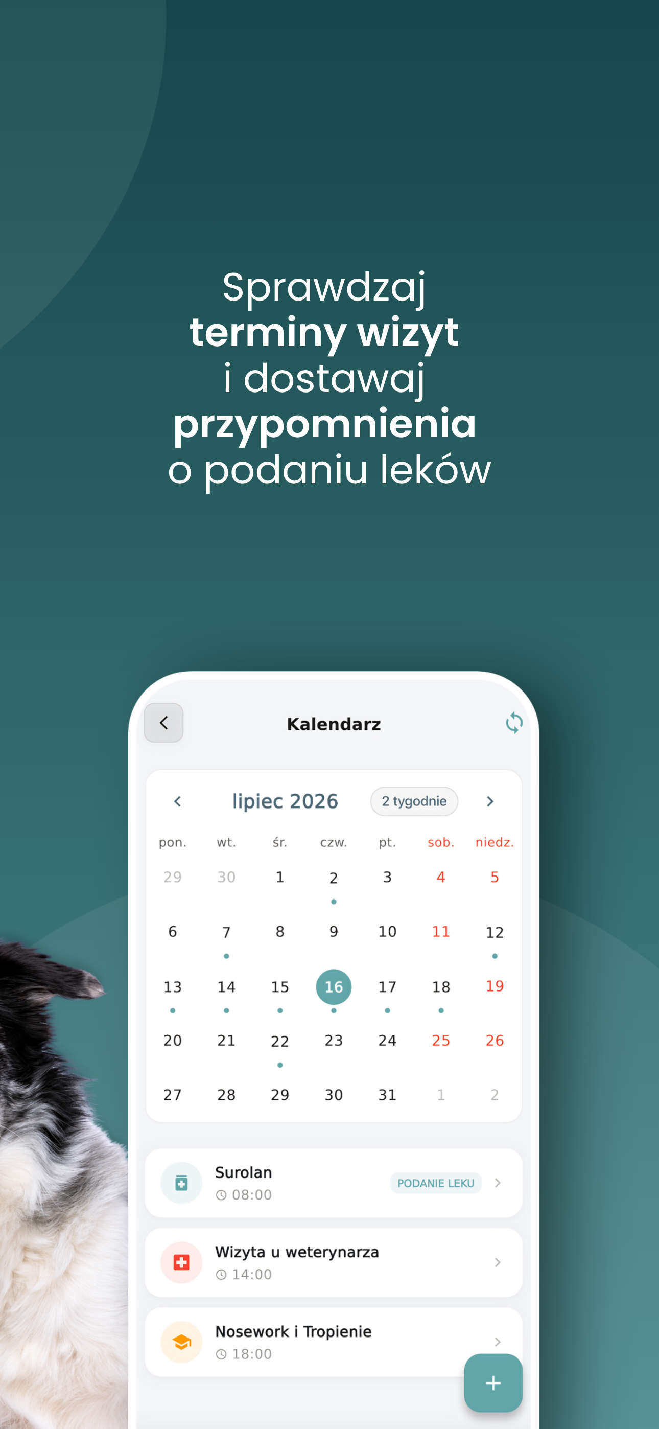 mPupil.pl screenshot 7