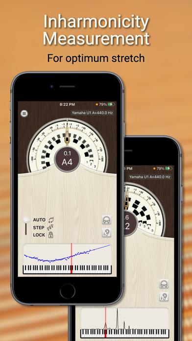 PianoMeter – Piano Tuner Screenshot