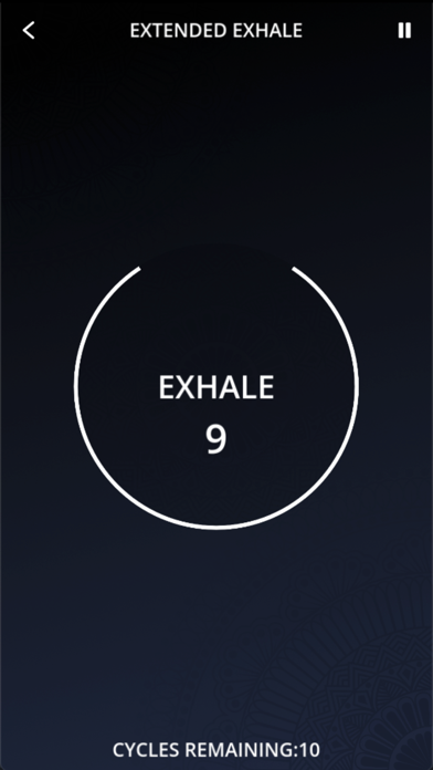 Breath Timer Screenshot