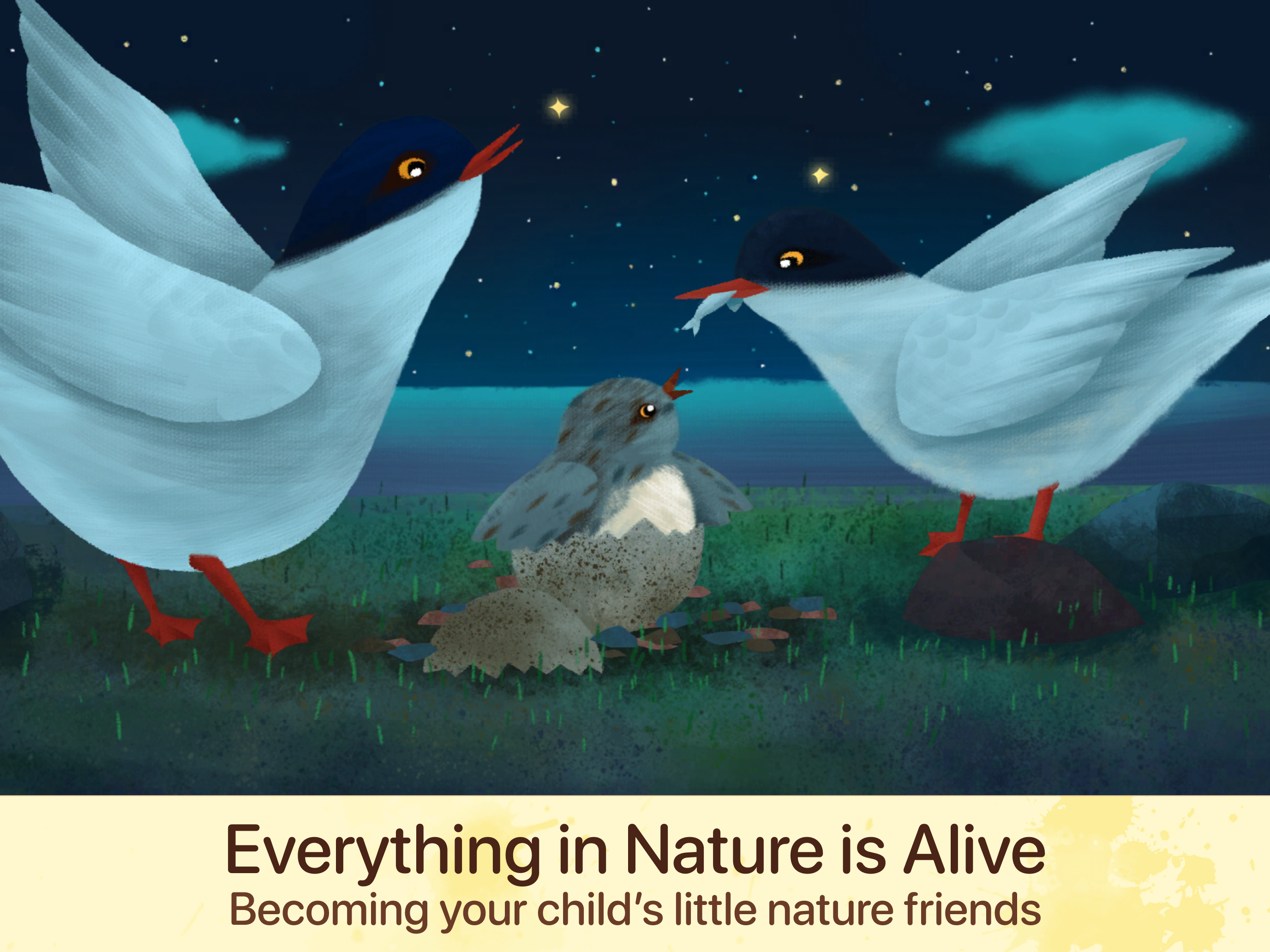 Dodo Story
