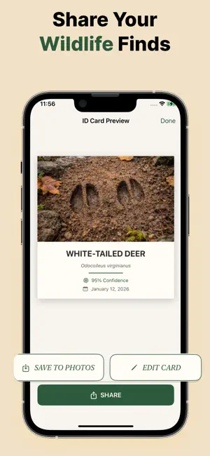Animal Tracks Identifier ID screenshot 3