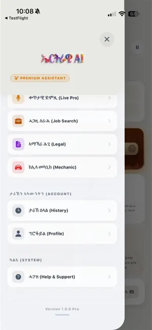 Eritrean AI iPhone screenshot 4
