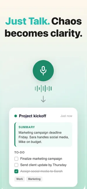 Voice Notes, AI Speech to Text screenshot 1