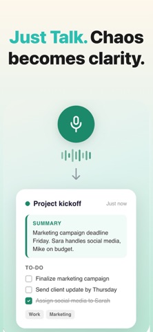 Voice Notes, AI Speech to Text Screenshot 1 of 6