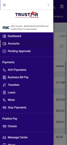 Trustar Bank Business iPhone screenshot