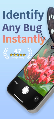 Spider Identifier - Bee Finder screenshot