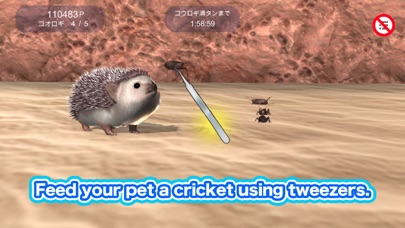 My Hedgehog Screenshot