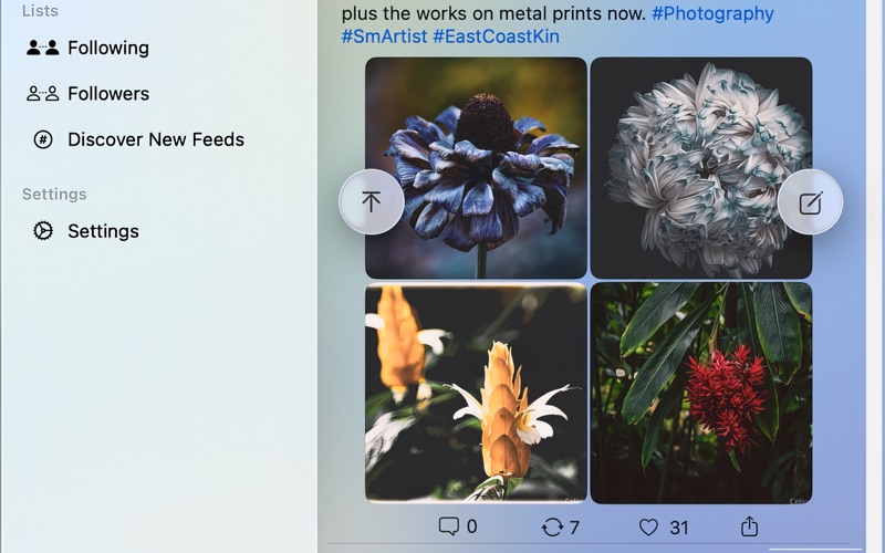 SkyNest Social for BlueSky screenshot