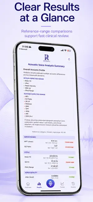 Resonali screenshot 2