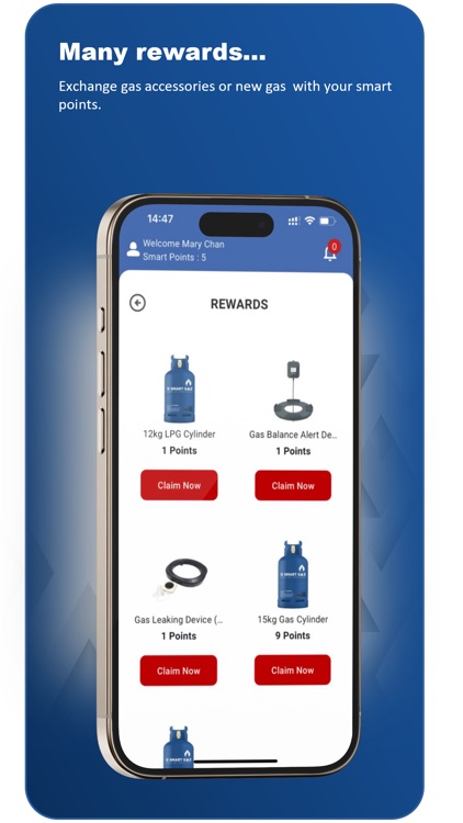 D SMART GAZ screenshot-4