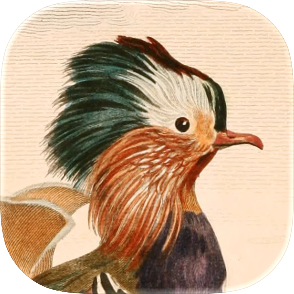 Art of Fauna: Cozy Puzzles