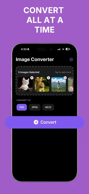 Image Converter - JPEG, PNG screenshot 3