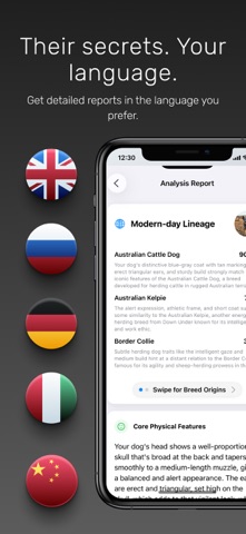 Pet DNA Dog Cat Breed Scanner screenshot