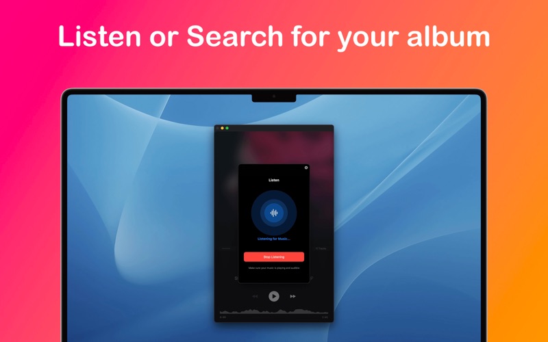 Vinyl Scrobbler screenshot
