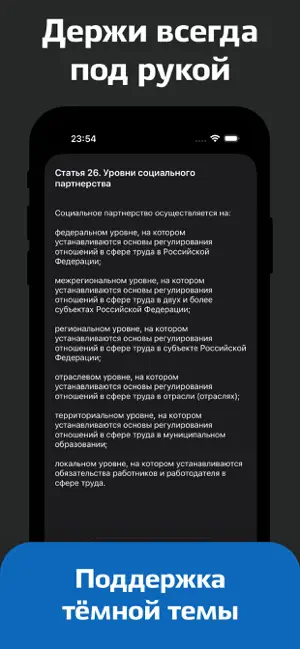 Трудовой Кодекс screenshot 4